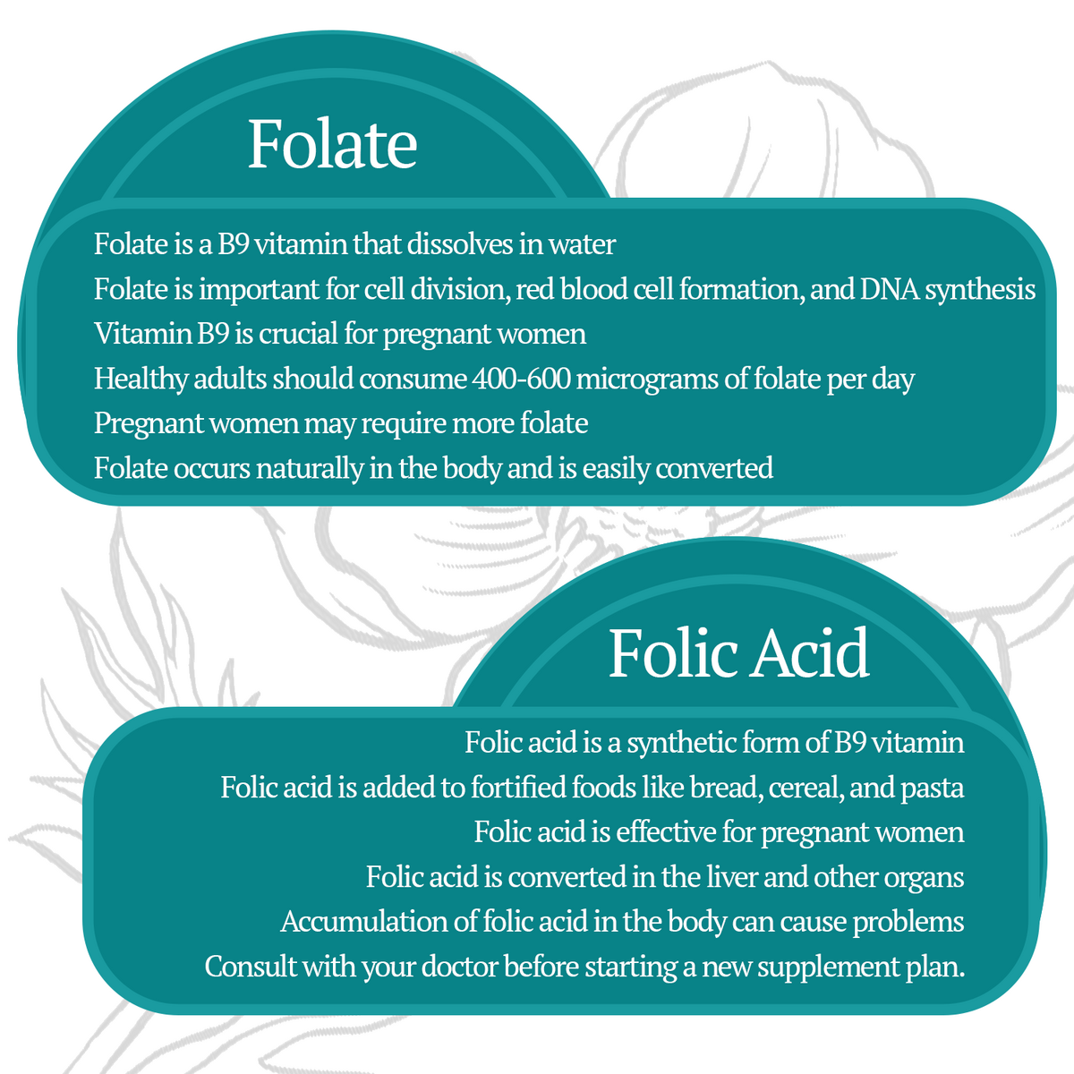 Folate vs Folic acid